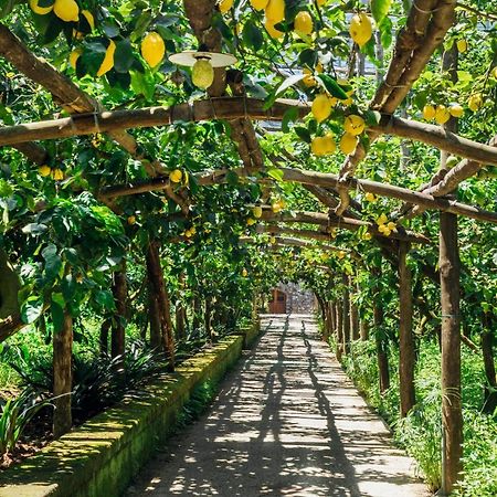 Agriturismo Il Giardino Di Vigliano Massa Lubrense Kültér fotó