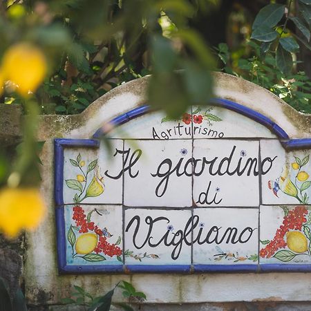 Agriturismo Il Giardino Di Vigliano Massa Lubrense Kültér fotó
