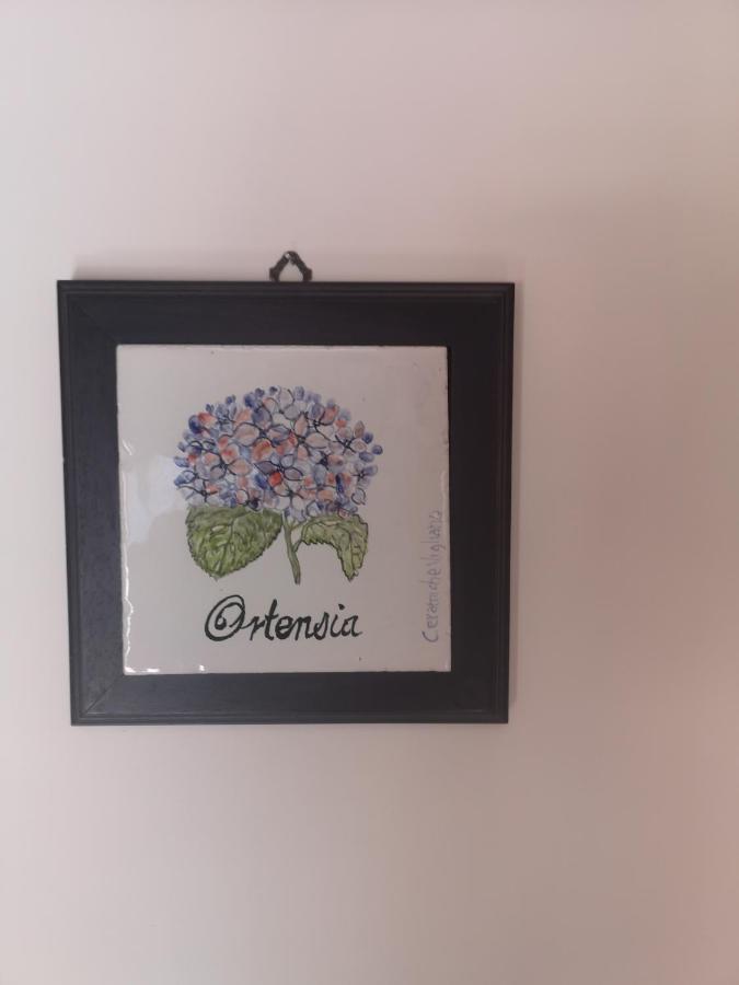 Agriturismo Il Giardino Di Vigliano Massa Lubrense Kültér fotó