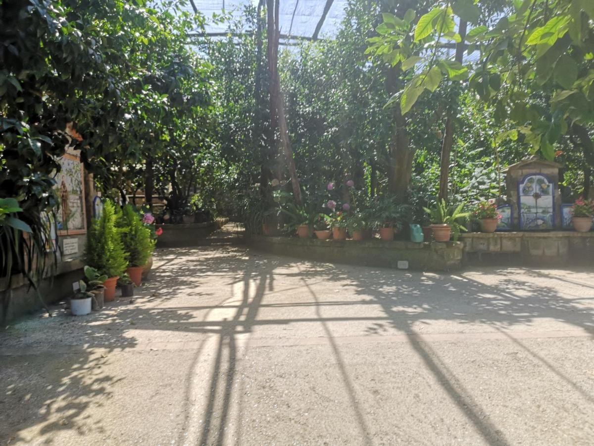Agriturismo Il Giardino Di Vigliano Massa Lubrense Kültér fotó