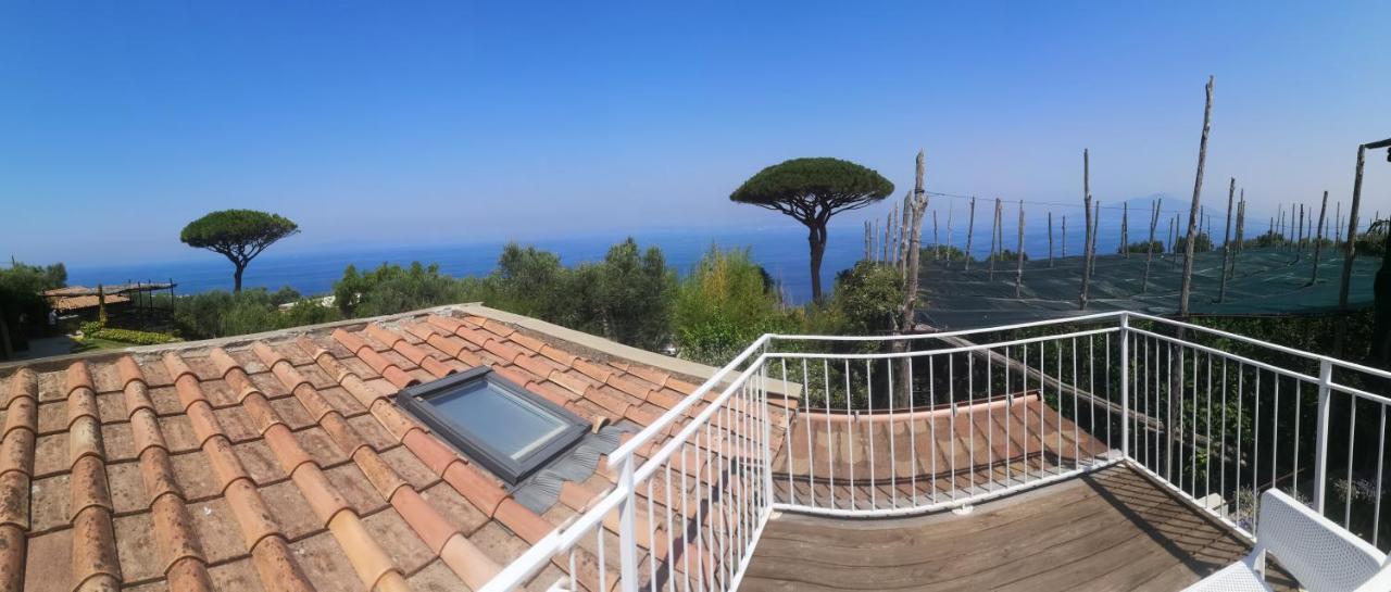 Agriturismo Il Giardino Di Vigliano Massa Lubrense Kültér fotó