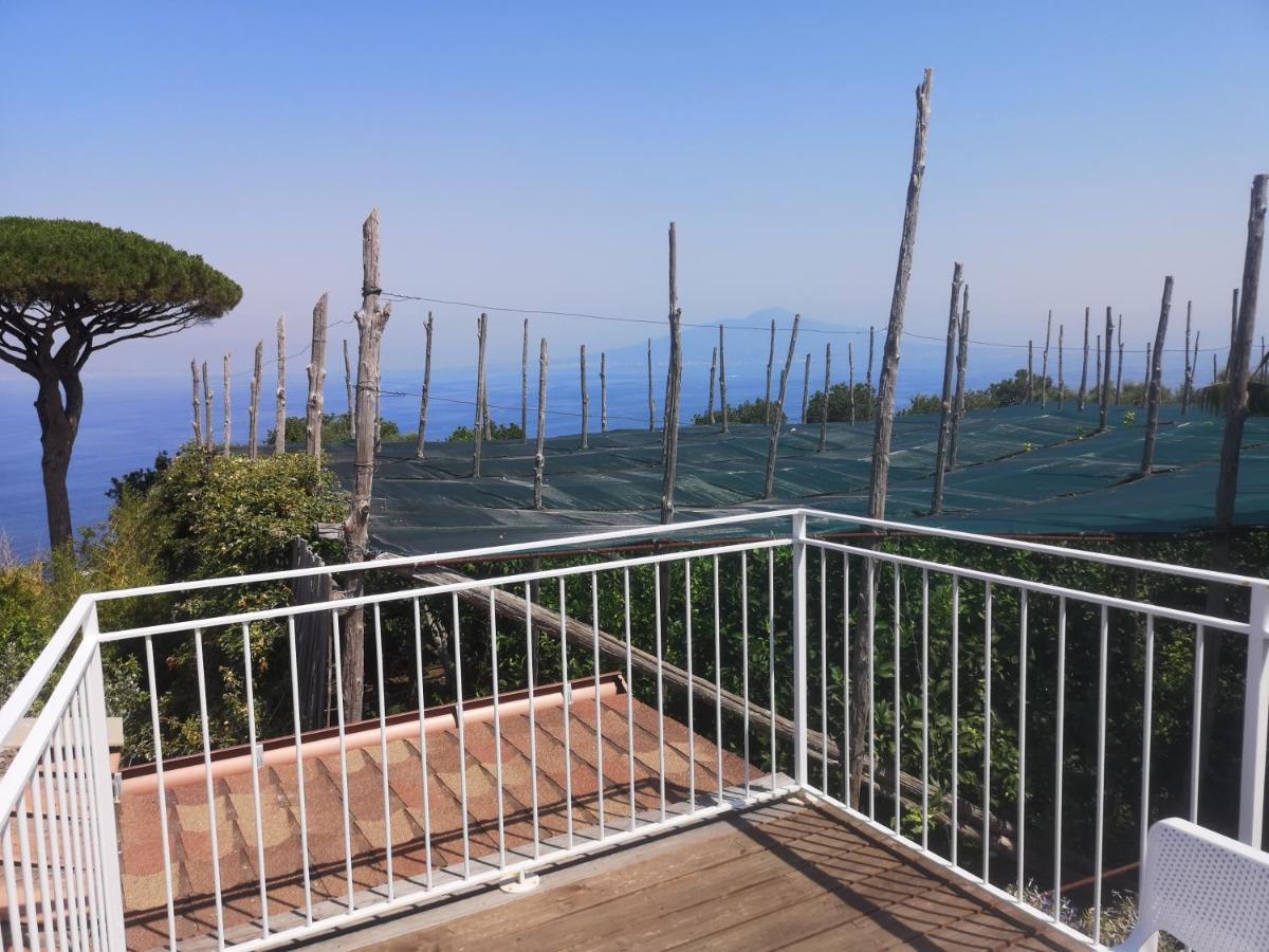 Agriturismo Il Giardino Di Vigliano Massa Lubrense Kültér fotó