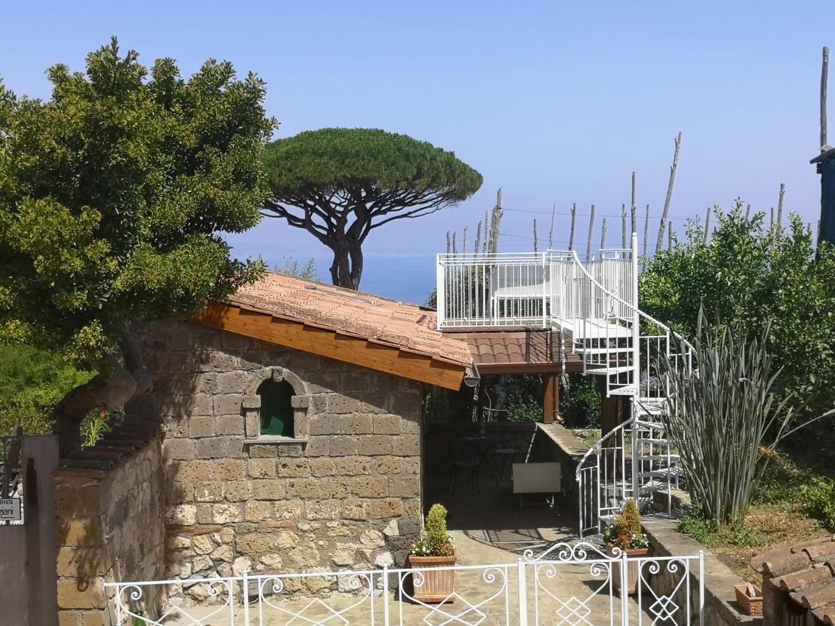 Agriturismo Il Giardino Di Vigliano Massa Lubrense Kültér fotó