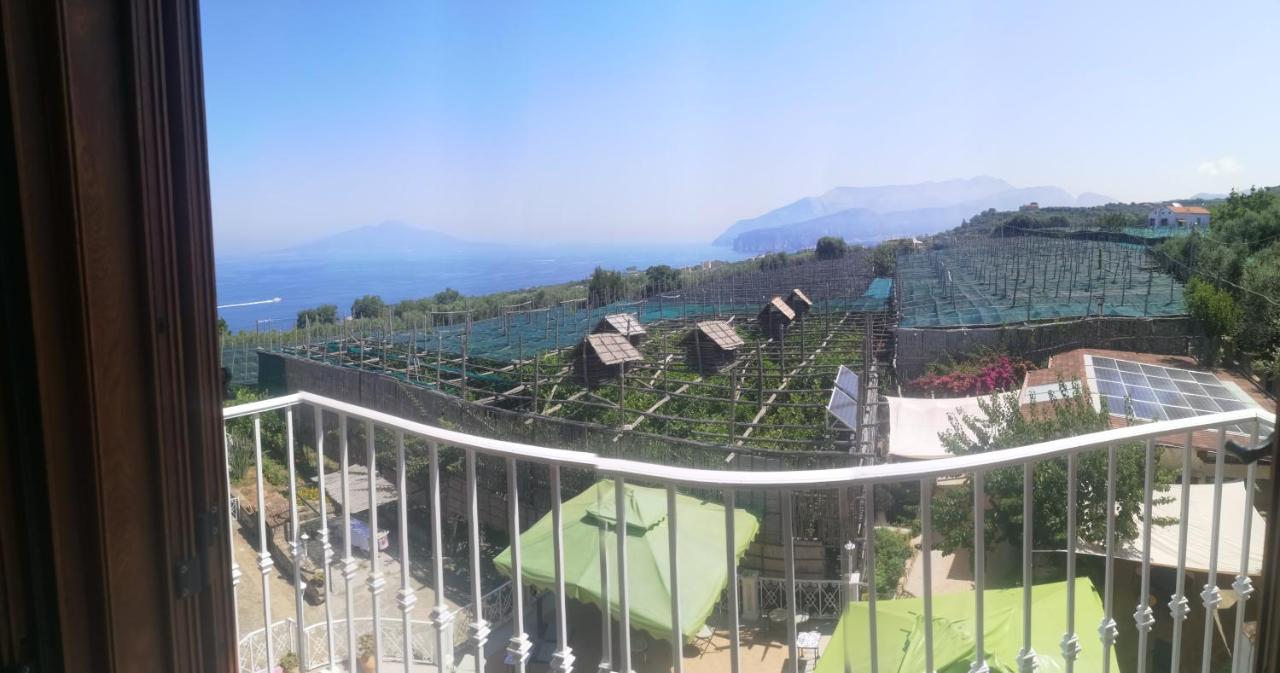 Agriturismo Il Giardino Di Vigliano Massa Lubrense Kültér fotó