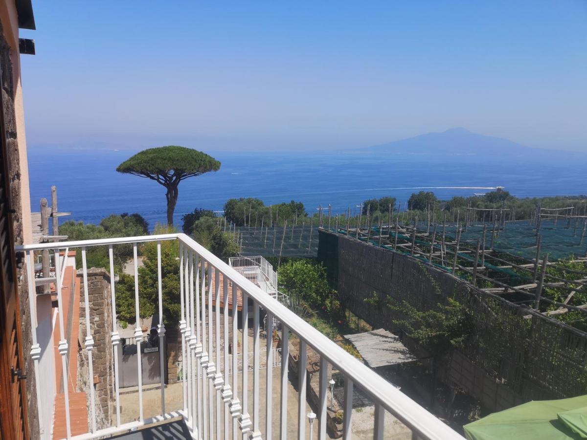 Agriturismo Il Giardino Di Vigliano Massa Lubrense Kültér fotó