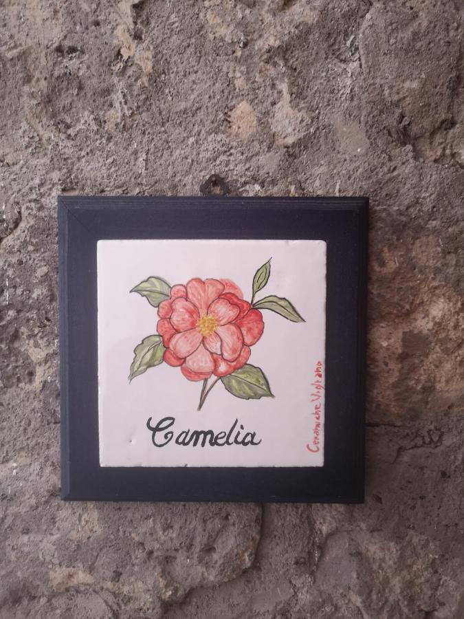 Agriturismo Il Giardino Di Vigliano Massa Lubrense Kültér fotó
