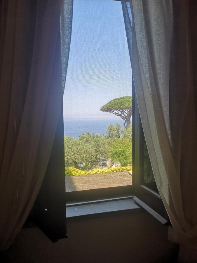 Agriturismo Il Giardino Di Vigliano Massa Lubrense Kültér fotó